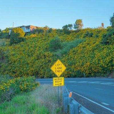 南宫28手机app下载